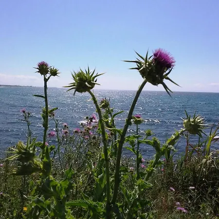 Daire Vista Mare, 100mt Dall'ospedale Pediatrico, A 200mt Dal Mare, 1h Da Roma Termini Santa Marinella